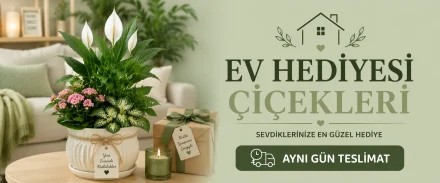 Ev Hediyesi Çiçekleri