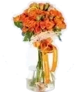 Doğum Günü