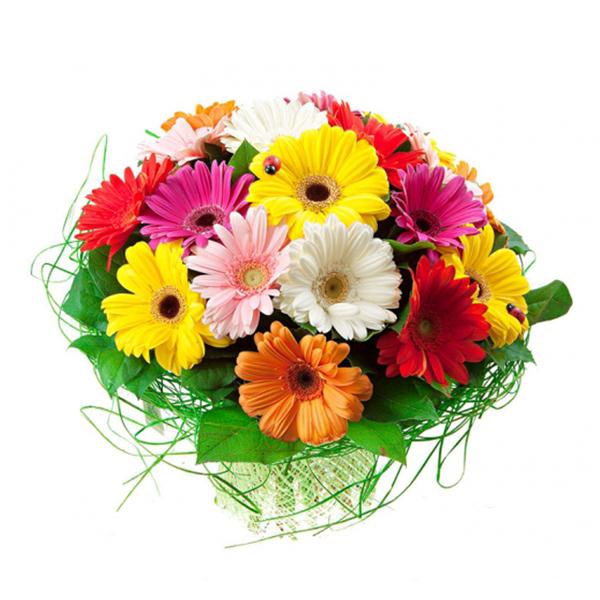 19 Karışık Renk Gerbera Buketi