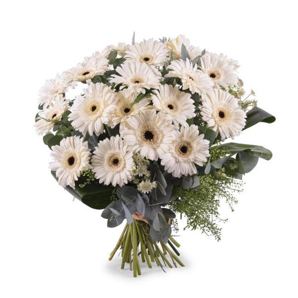 Beyaz Gerbera Buketi